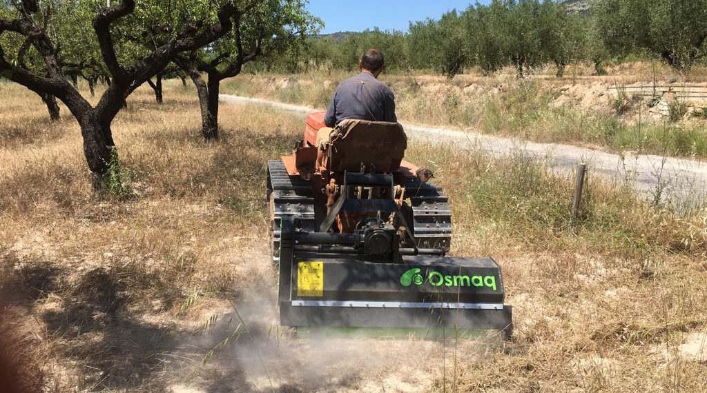 WhatsApp Image 2019-06-10 at 12.50.52(1)