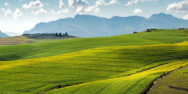 Diseño sin título (18)