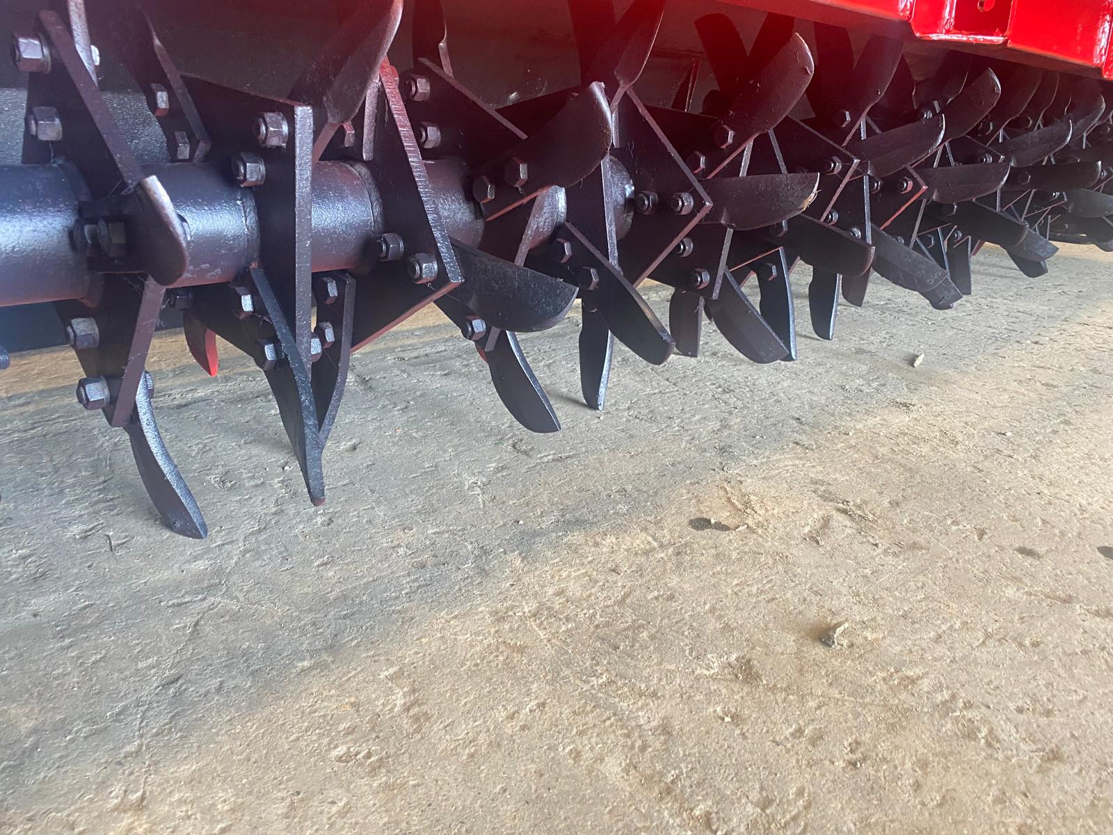 WhatsApp Image 2024-11-20 at 10.49.26