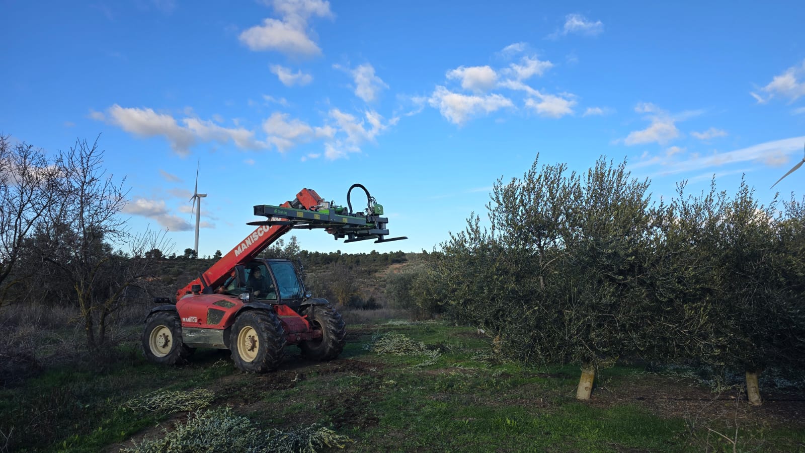 WhatsApp Image 2026-01-27 at 09.07.09