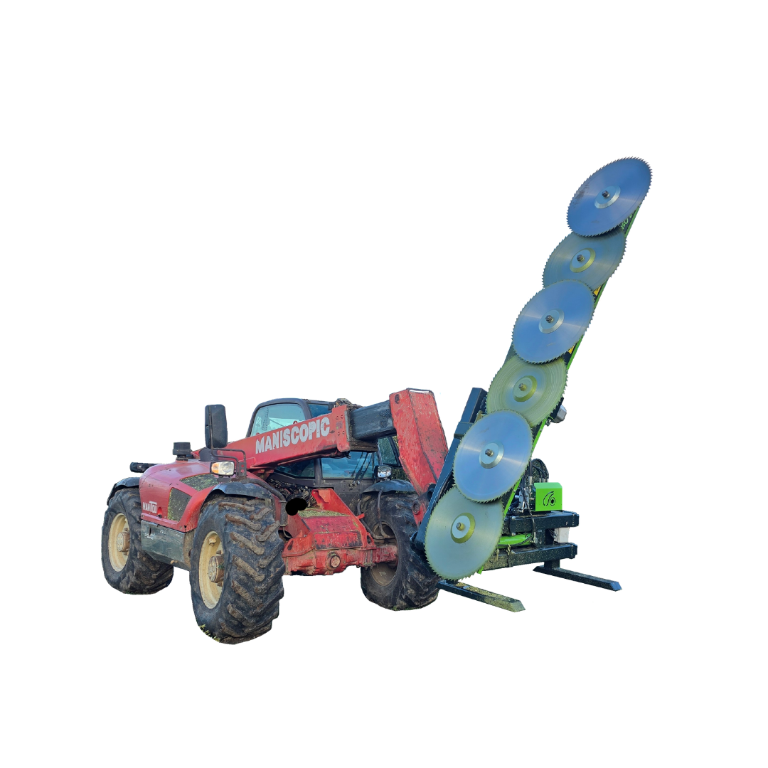 Diseño sin título (51)