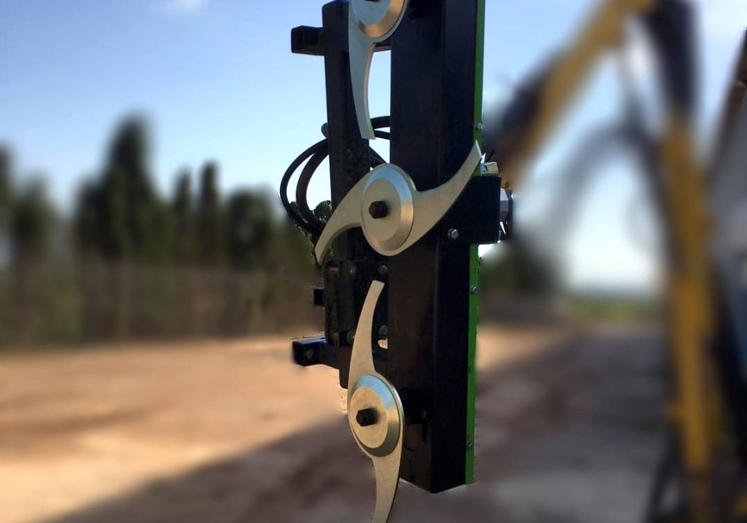 WhatsApp Image 2025-09-08 at 16.03.36